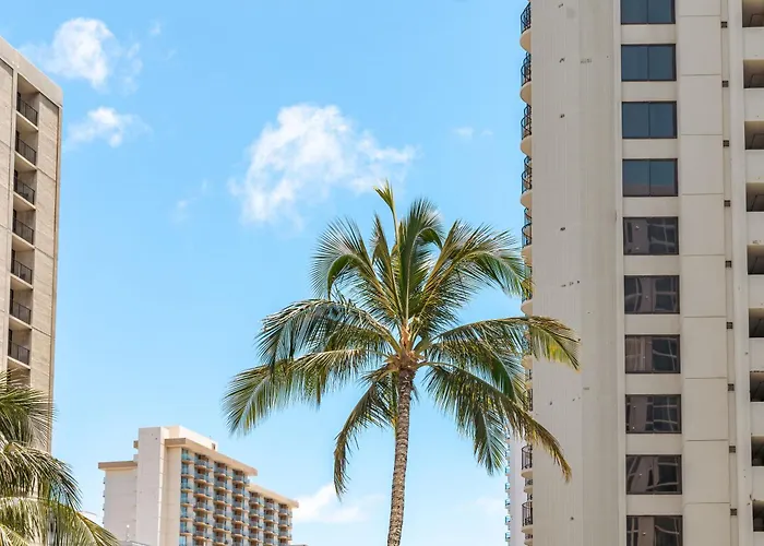 Warm Aloha Vibes, Mountain Views, Short Walk To Beach, And Free Parking